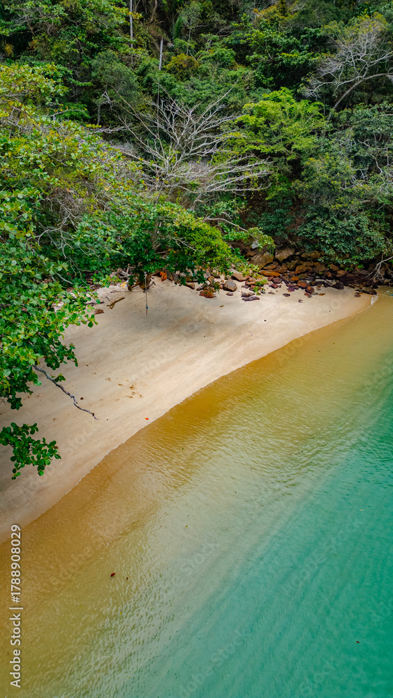 Naklejka premium Paradisiacal Tropical Beach With Blue Sea Atlantic Ocean Coast Surrounded By Atlantic Forest Angra Dos Reis Rio De Janeiro Brazil South America Idyllic Heavenly Landscape Summer Travel Destination