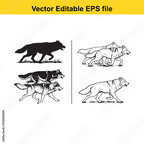 Set of wolf silhouettes and line art illustrations