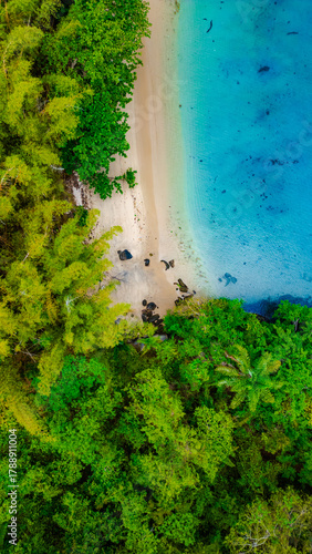 Wallpaper Mural Paradisiacal Tropical Beach With Blue Sea Atlantic Ocean Coast Surrounded By Atlantic Forest Angra Dos Reis Rio De Janeiro Brazil South America Idyllic Heavenly Landscape Summer Travel Destination Torontodigital.ca