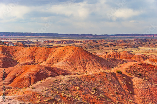 Petrified Forest National Park is a national park of the United States in Navajo and Apache counties in northeastern Arizona, famous for petrified logs, fossils, badlands,  ancient petroglyphs, painte