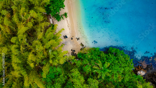 Wallpaper Mural Paradisiacal Tropical Beach With Blue Sea Atlantic Ocean Coast Surrounded By Atlantic Forest Angra Dos Reis Rio De Janeiro Brazil South America Idyllic Heavenly Landscape Summer Travel Destination Torontodigital.ca