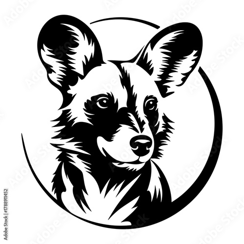 African Wild Dog