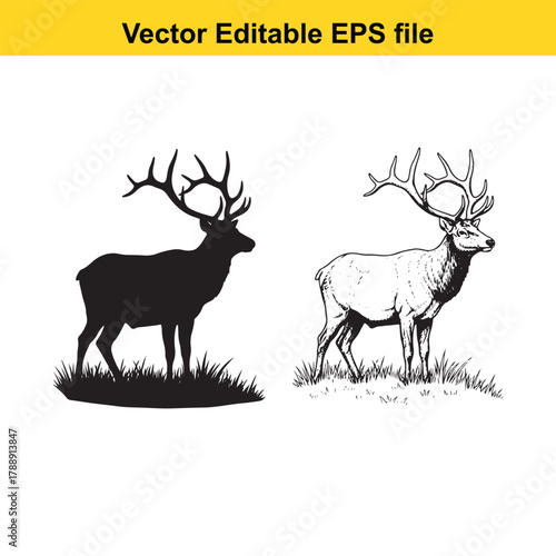 Silhouette and detailed drawing of a majestic stag with large antlers standing in grass