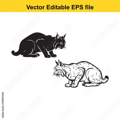 Black silhouette and line art drawing of a lynx in a crouching pose