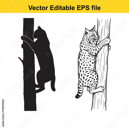 Silhouette and detailed drawing of a bobcat climbing a tree