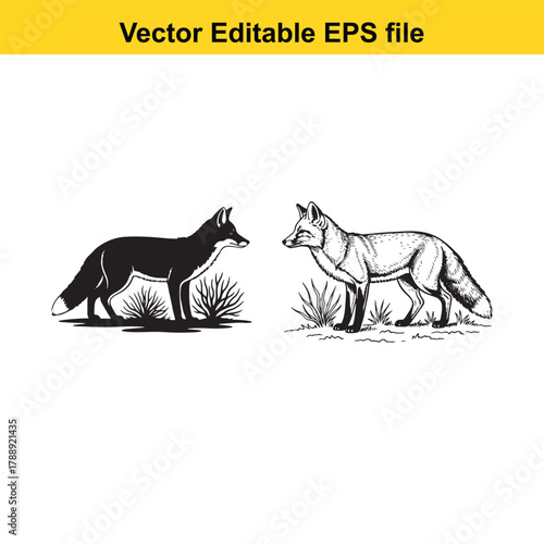 Two foxes, one in silhouette and the other in sketch style, stand in grass