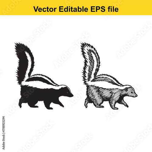 Two skunk silhouette and sketch style walking on grass