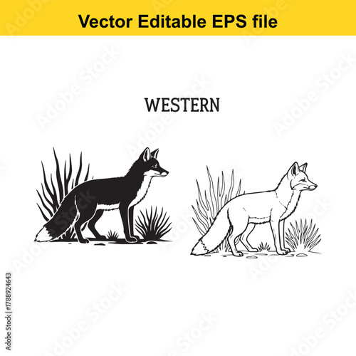 Silhouette and detailed drawing of two western foxes standing in grass