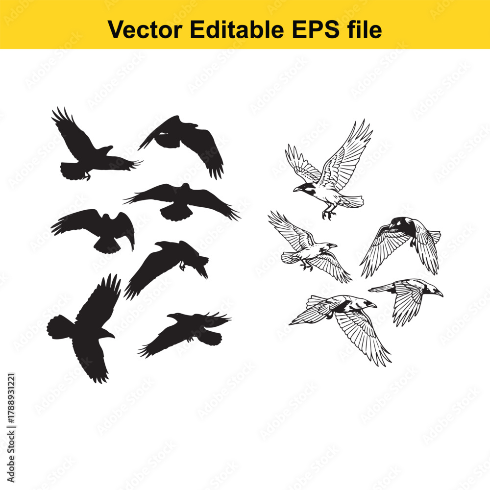 Naklejka premium Set of black silhouette flying birds and detailed line art birds in flight