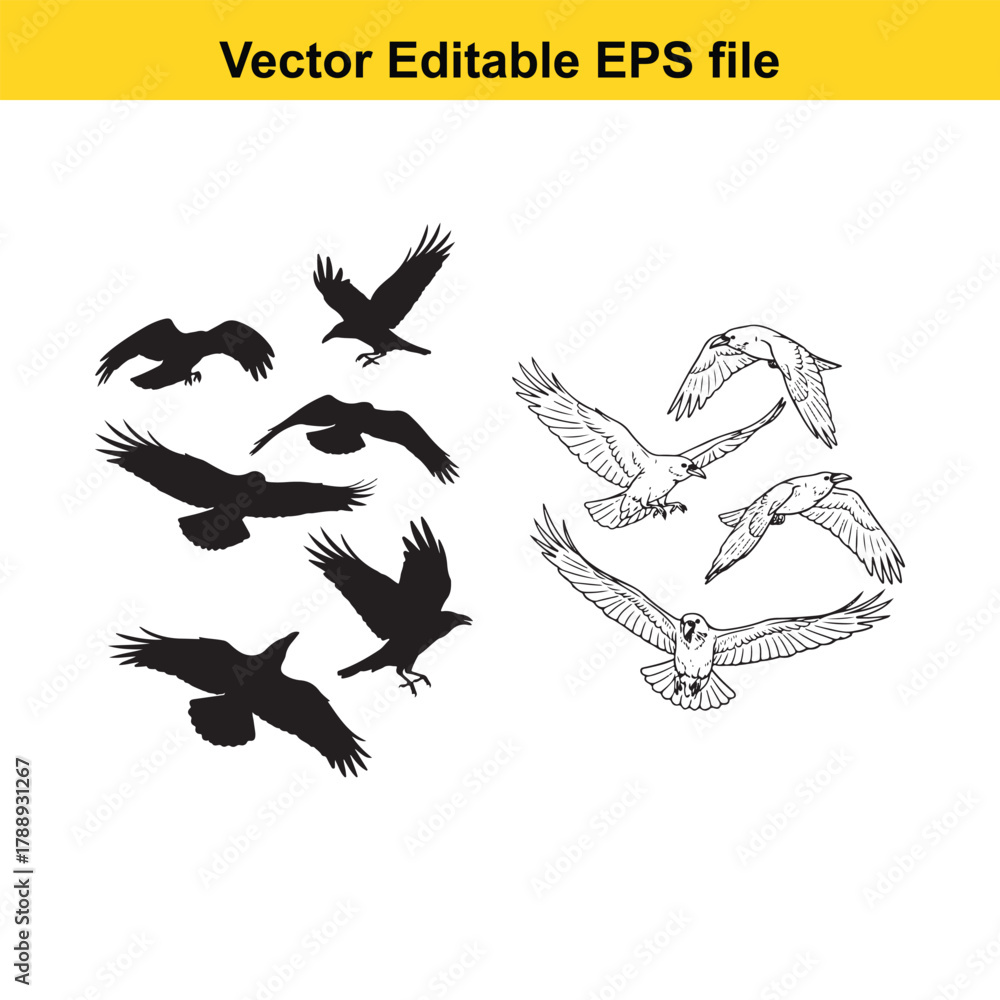 Naklejka premium Assortment of black silhouette flying birds and detailed line art birds in flight