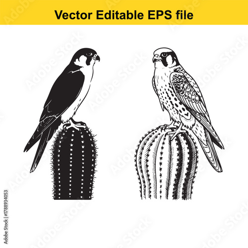 Two falcon birds perched on a cactus, one black silhouette and one detailed line drawing