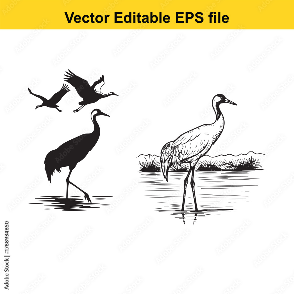 Obraz premium A black silhouette crane standing in water with two flying cranes above, contrasted with a detailed line drawing of a crane in water