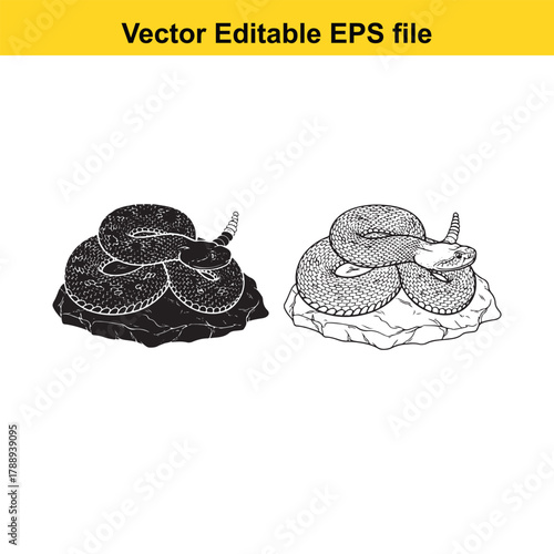 Two coiled rattlesnake illustrations, one black silhouette and one detailed line art, on a