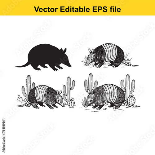 Four vector illustrations of armadillos and saguaro cacti, one solid silhouette and three detailed sketches