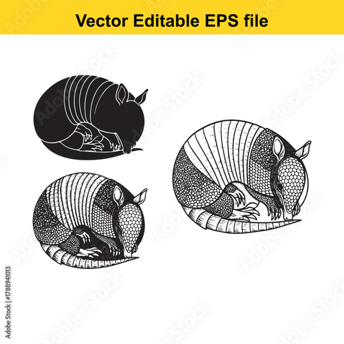 Three stylized armadillo illustrations, one solid black and two line art variations, curled up in a ball on a