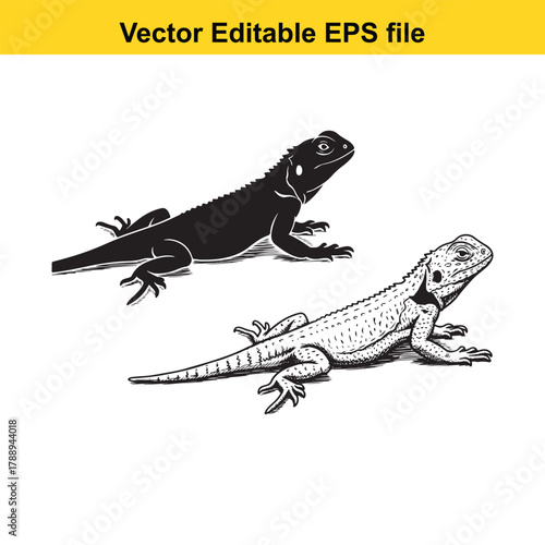 Two lizards, one black silhouette and one detailed drawing