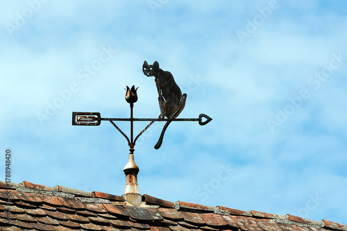 Black cat old weather vane