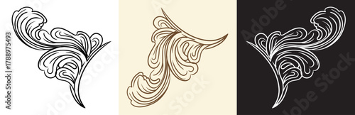 Acanthus leaves twisted retro design element vector illustration