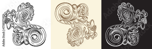 Scroll leaf of grape twisted design element vector illustration