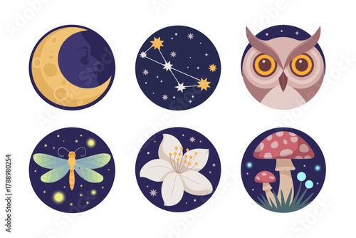 Colored outline vector icons for night nature, representing crescent moon, stars, owl, butterfly, flower, mushroom, and nocturnal forest scene.