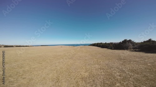 Flying over farmland with deep blue sea in the background, and surrounding trees and landscape with blue sky above.