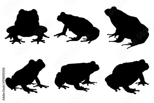 set of frogs