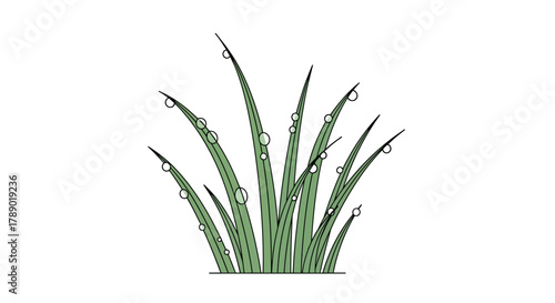 Illustration of grass blades with water droplets clinging to them.