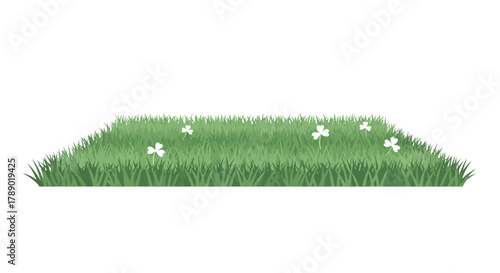 Patch of Green Grass with White Clover Flowers.