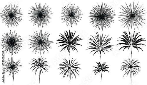 Elegant black firework burst silhouettes vector graphic elements isolated on white background, Vector, illustration