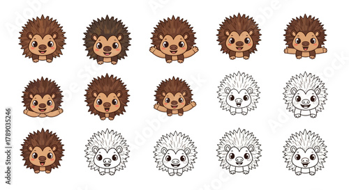 Collection of Adorable Cartoon Hedgehog Illustrations in Color and Outline.