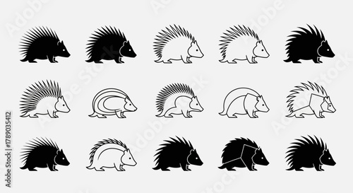 Collection of Porcupine Illustrations in Various Styles and Poses.