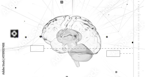 Showing translucent 3D brain rotating on white field, showing network nodes and dashed guideline