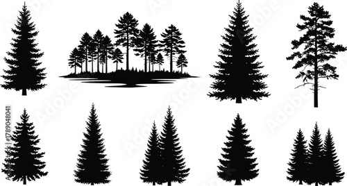 Set of diverse evergreen tree and forest silhouettes for design isolated on white background, Vector, illustration