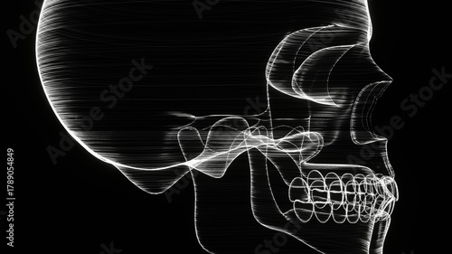 A holographic skull with a wireframe design. 
Perfect for futuristic, sci-fi, or dark-themed visuals.