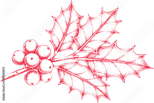 Hand drawn festive red holly leaf with berries isolated on white background