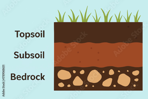 Fertile Soil Layers Cross Section