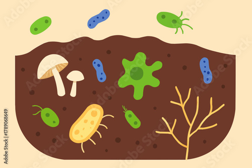 Soil Microorganisms Ecosystem