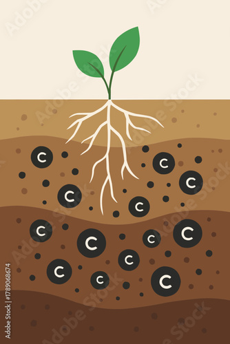 Soil Carbon Storage Concept