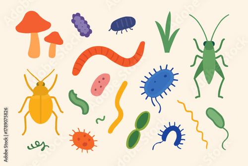 Soil Biodiversity Concept