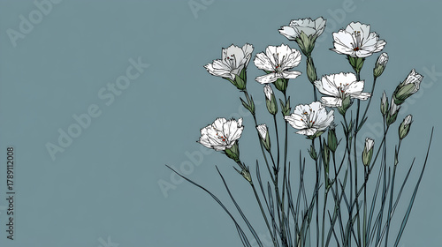 Elegant White Carnations on Teal Background Illustration.