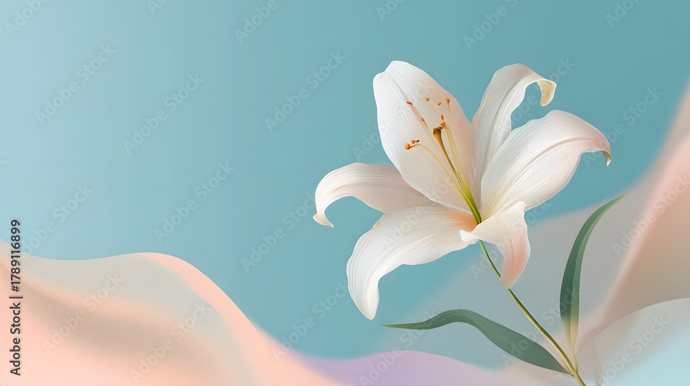 Fototapeta premium Beautiful white lily blooms against a soft, abstract background of blue and peach tones