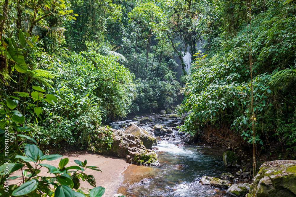 Obraz premium Landscape view of La Paz Waterfall (Catarata de La Paz) in a lush forest (Alajuela, Costa Rica). 