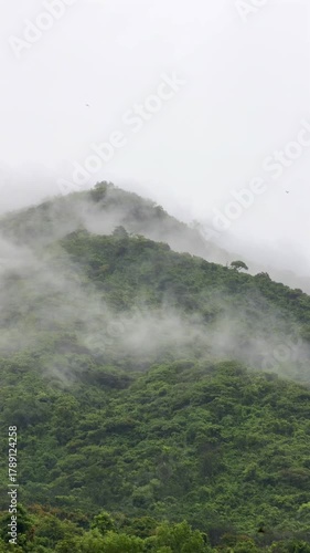 Dense fog descends upon green mountain valley as raindrops fall softly creating a mystical and soothing view. Mountain mist.