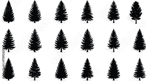 Conifer tree silhouette collection, 16 black evergreen designs, stylized pine shapes and branch patterns, botanical vector illustration, forest graphic elements set