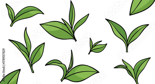 Scattered Fresh Green Tea Leaves Pattern on White Background Nature Organic Product