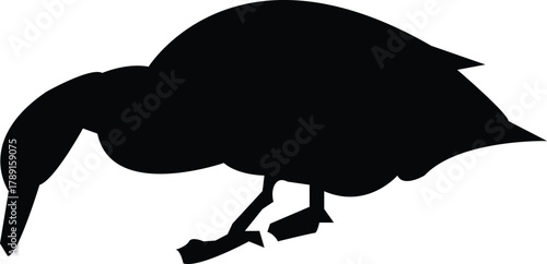 Minimalist black silhouette of a Kiwi bird, an iconic flightless avian from New Zealand, representing a concept of unique wildlife and natural heritage