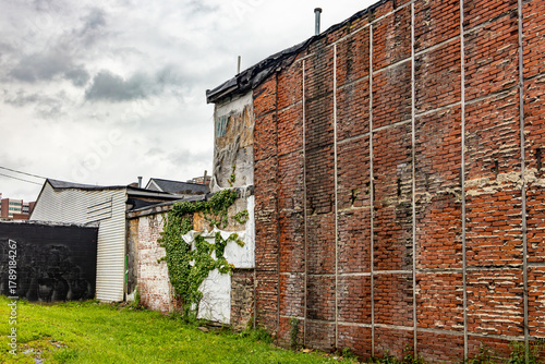 Urban Brick Wall with Ivy Growing in Pittsburgh Neighborhood