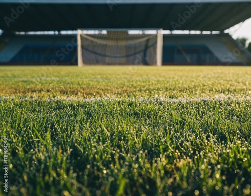 The close-up shot of the green grass field with a white line and a soccer goal in the background, under a bright, sunny sky, creating a beautiful outdoor scene
