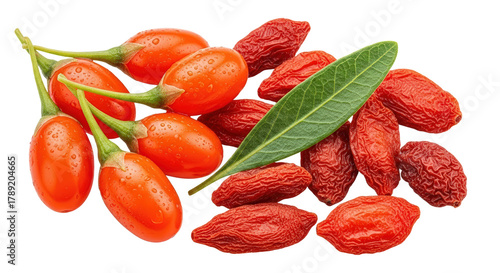 Vibrant Red Goji Berries Fresh and Dried With Green Leaf on Transparent Background 