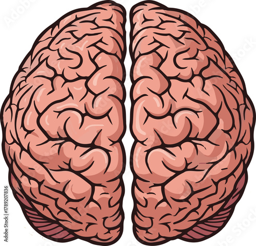 Stylized Brain Vector Art with Pink Organic Shapes and Black Outlines